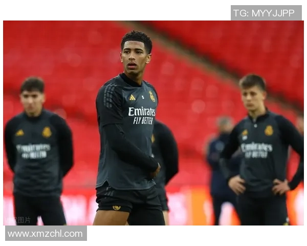 维尼修斯：从新星崛起到足球巨星的华丽转身与未来展望