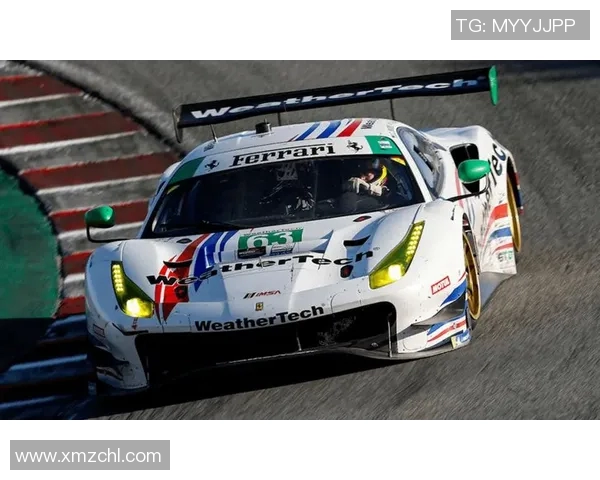 深入探讨WE团队在耐力赛事中的表现与数据分析成果